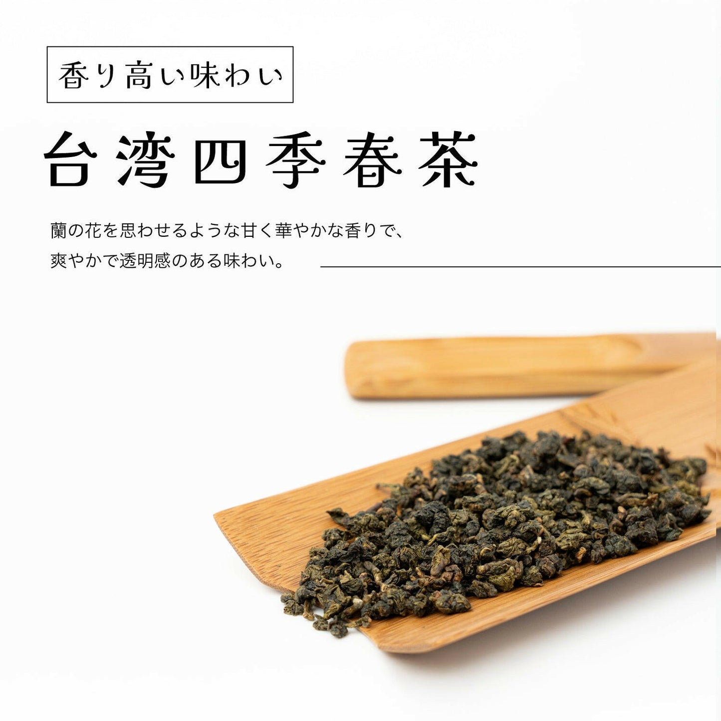 台湾四季春茶
