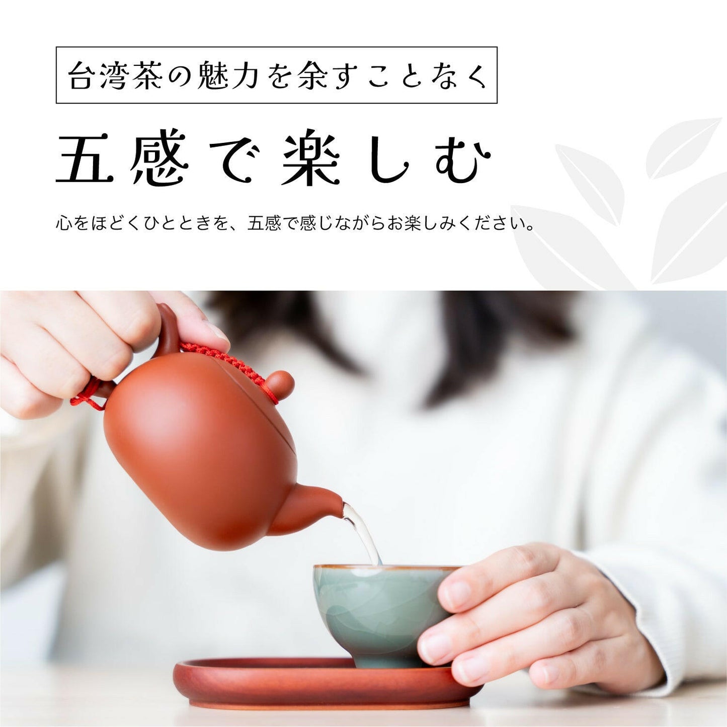 台湾茶の魅力を楽しむ